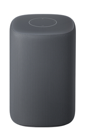 Wireless Speaker