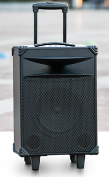 Wireless Speaker(图2)